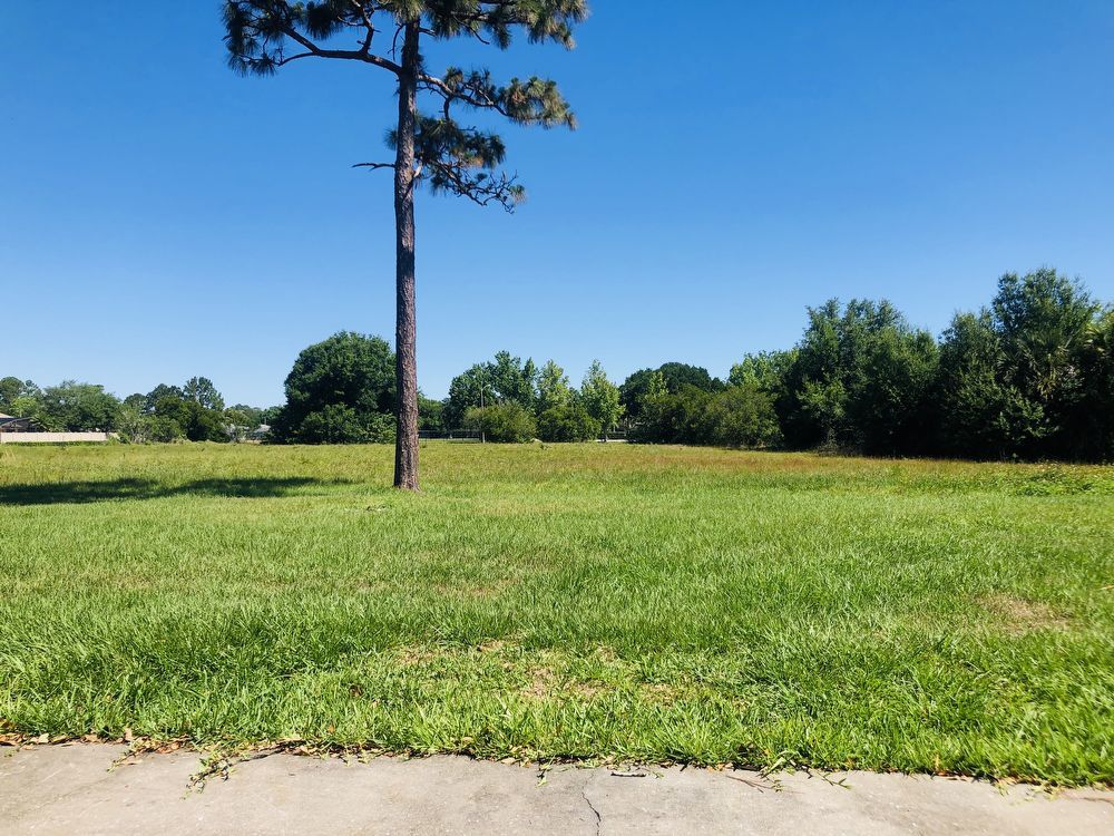 Cute 4/2 Home in East Orlando Wedgefield! property image