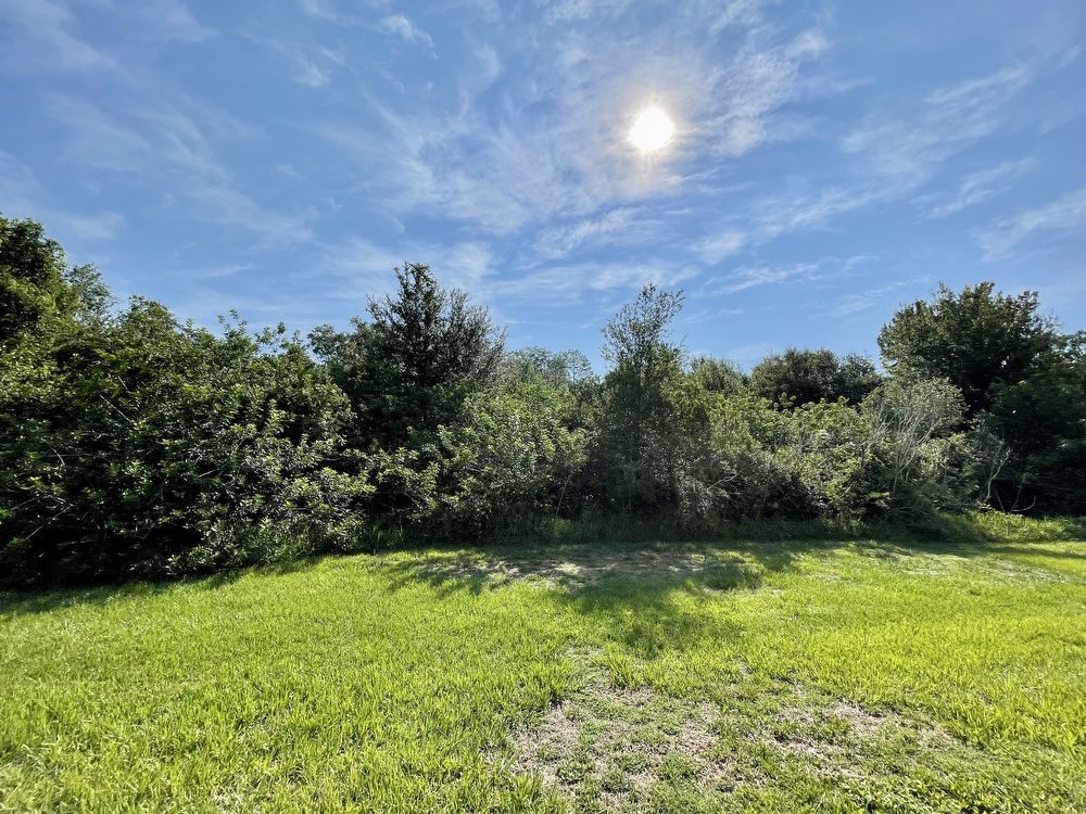 Cute 4/2 Home in East Orlando Wedgefield! property image