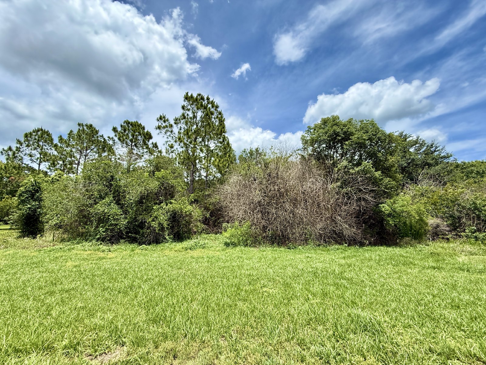 Nice, Large Two-Story 4/3 Home in East Orlando in the Wedgefield Community! property image