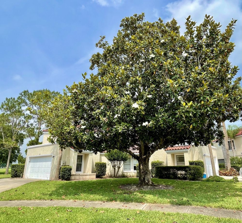 Two Story 3/3 Golf Course Townhome in Wedgefield! property image