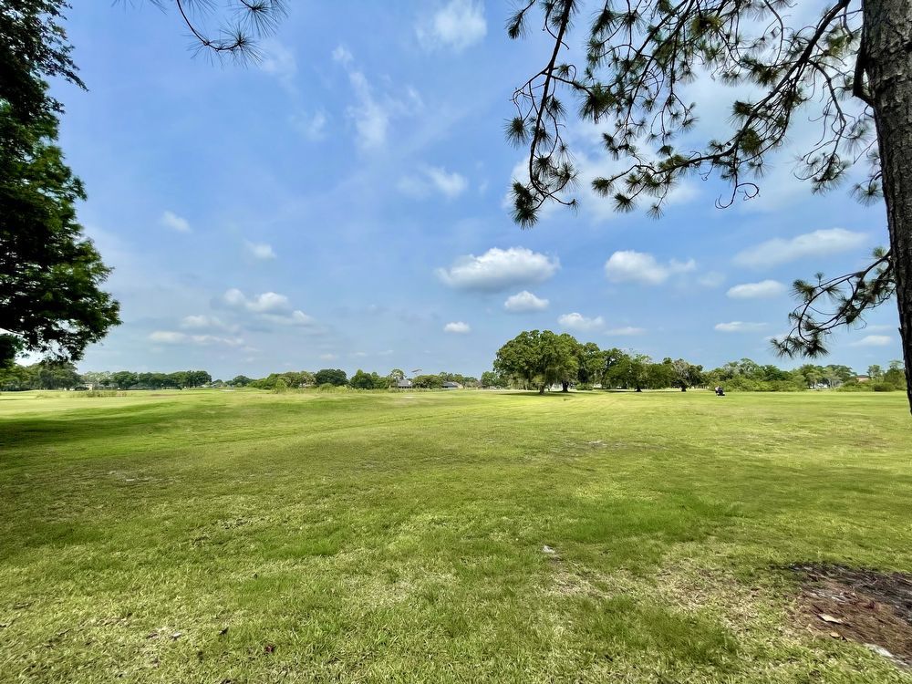 Two Story 3/3 Golf Course Townhome in Wedgefield! property image