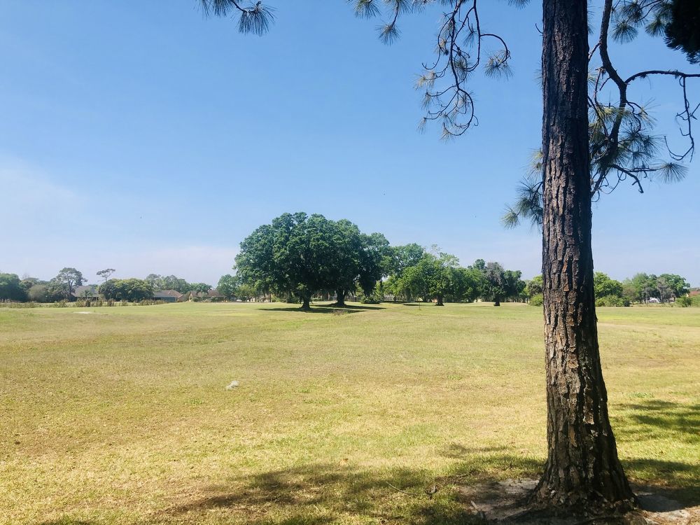 Two Story 3/3 Golf Course Townhome in Wedgefield! property image