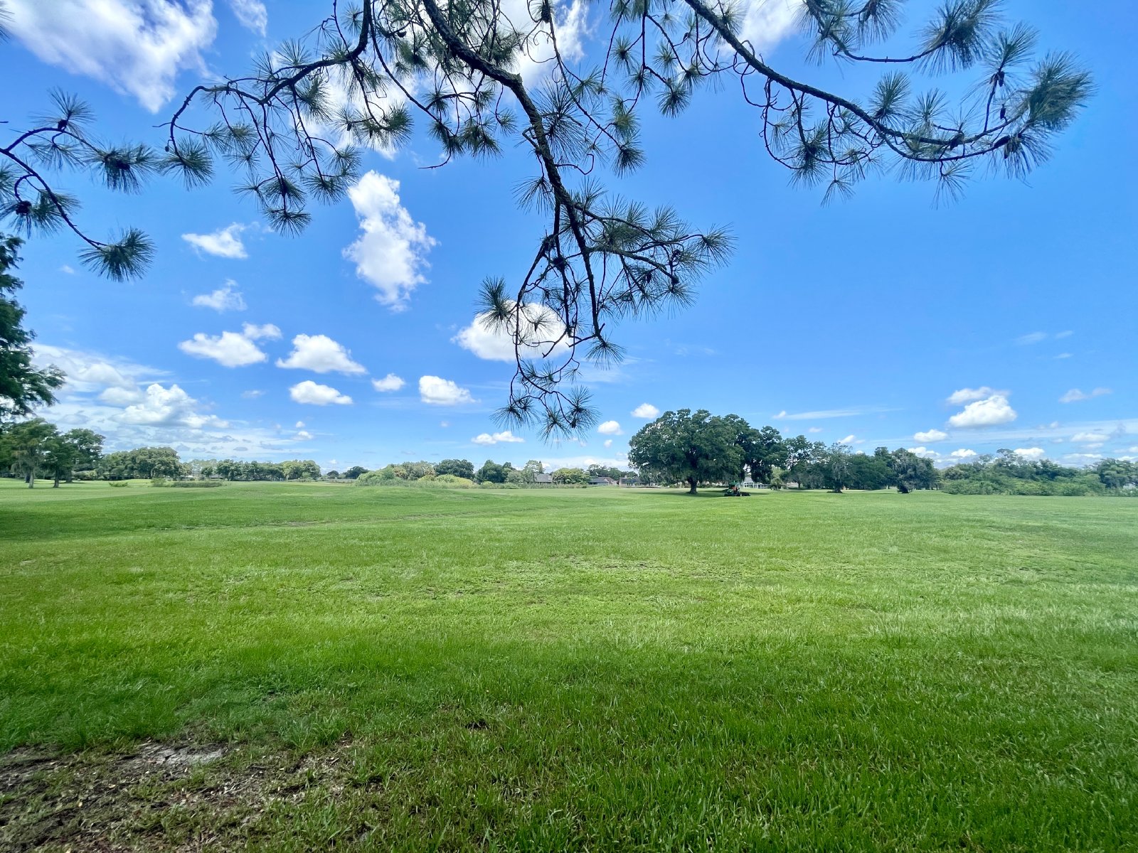 Two Story 3/3 Golf Course Townhome in Wedgefield! property image