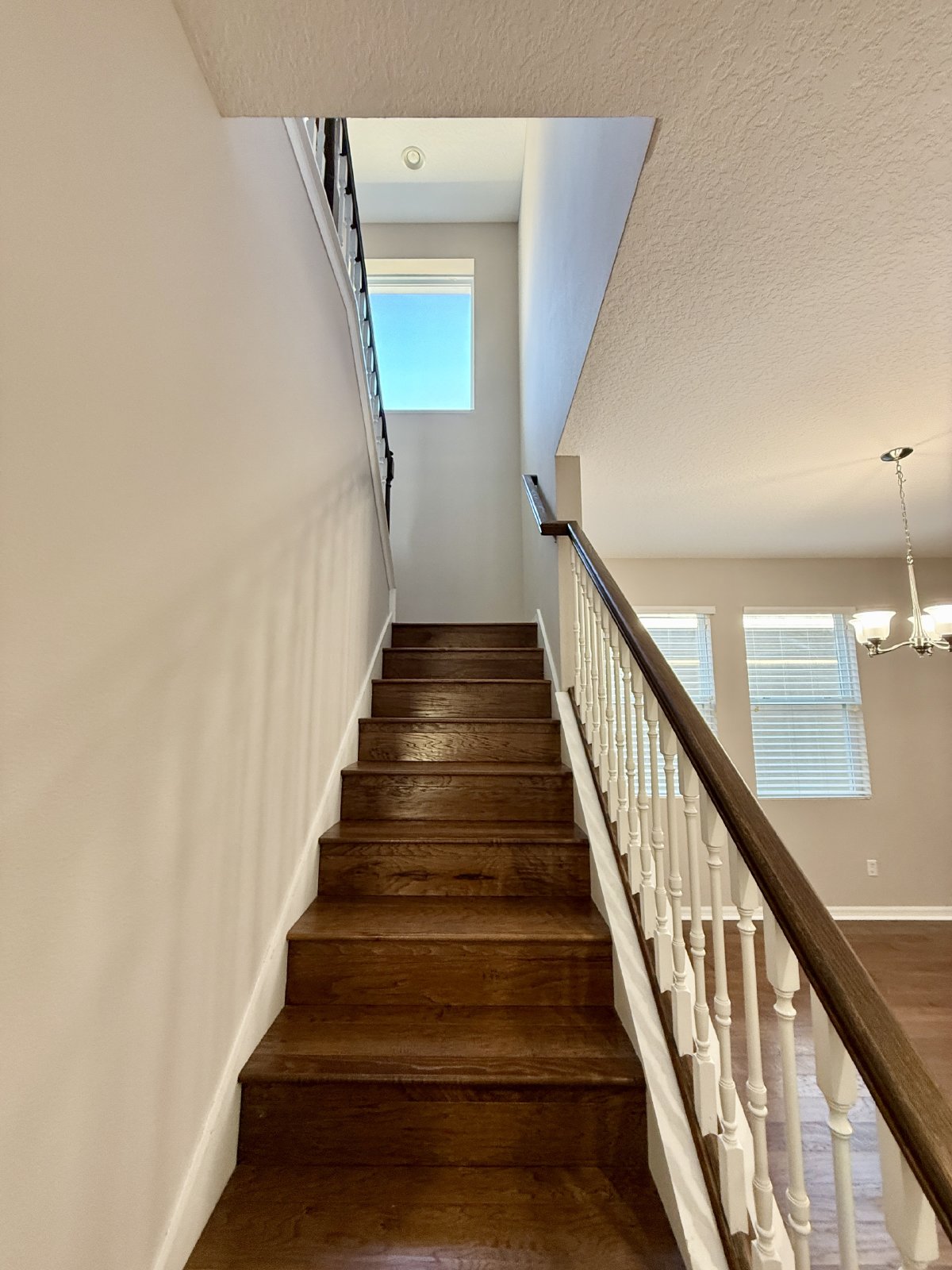 SPACIOUS Two Story Beautiful 5/4 Home in The Enclave At Aloma! property image